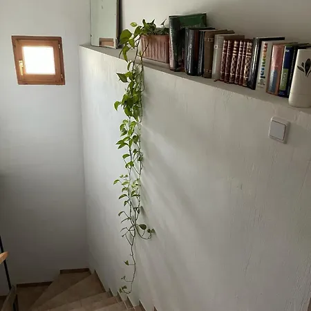 Casa Caminata